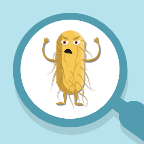 Health Canada Website Thumbnails_Microorganisms