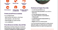 Screenshot of Opioid Overdose resource sheet