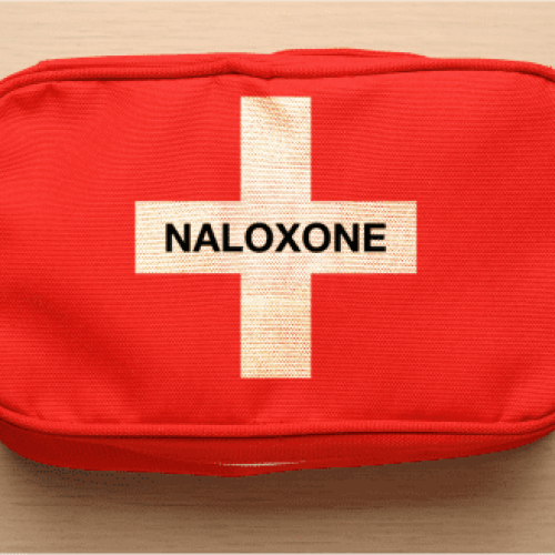 img-opioids-plan-1 img-opioids-plan-1